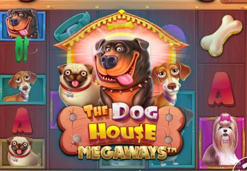 Playtech - игровой автомат онлайн от Various с RTP 95.57%